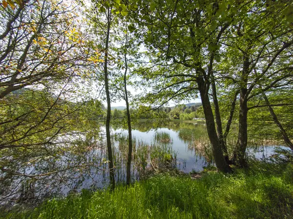 Bulgaristan 'ın başkenti Sofya' nın Pancharevo Gölü yakınlarındaki Iskar Nehri 'nin Bahar Manzarası