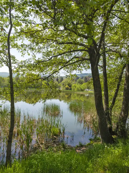 Bulgaristan 'ın başkenti Sofya' nın Pancharevo Gölü yakınlarındaki Iskar Nehri 'nin Bahar Manzarası