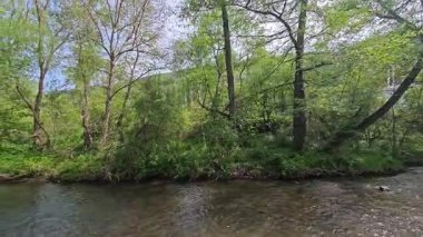 Bulgaristan 'ın başkenti Sofya' nın Pancharevo Gölü yakınlarındaki Iskar Nehri 'nin Bahar Manzarası