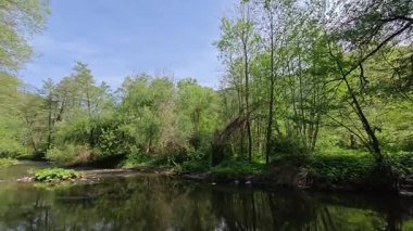 Bulgaristan 'ın başkenti Sofya' nın Pancharevo Gölü yakınlarındaki Iskar Nehri 'nin Bahar Manzarası