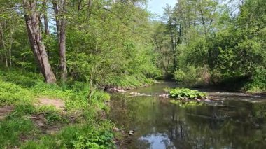 Bulgaristan 'ın başkenti Sofya' nın Pancharevo Gölü yakınlarındaki Iskar Nehri 'nin Bahar Manzarası