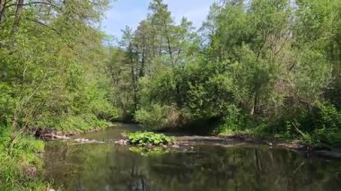 Bulgaristan 'ın başkenti Sofya' nın Pancharevo Gölü yakınlarındaki Iskar Nehri 'nin Bahar Manzarası