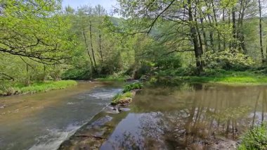 Bulgaristan 'ın başkenti Sofya' nın Pancharevo Gölü yakınlarındaki Iskar Nehri 'nin Bahar Manzarası