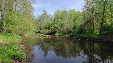 Bulgaristan 'ın başkenti Sofya' nın Pancharevo Gölü yakınlarındaki Iskar Nehri 'nin Bahar Manzarası