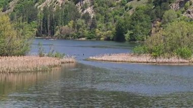 Pancharevo Gölü Bahar Manzarası, Sofya Şehir Bölgesi, Bulgaristan
