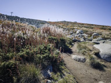 Bulgaristan 'ın Cherni Vrah zirvesi yakınlarındaki Vitosha Dağı' nın şaşırtıcı sonbahar manzarası