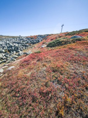 Bulgaristan 'ın Cherni Vrah zirvesi yakınlarındaki Vitosha Dağı' nın şaşırtıcı sonbahar manzarası