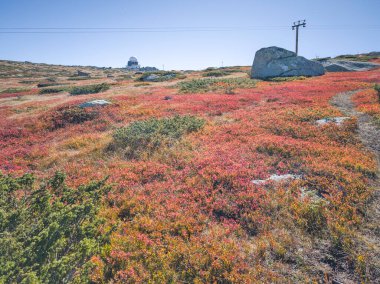 Bulgaristan 'ın Cherni Vrah zirvesi yakınlarındaki Vitosha Dağı' nın şaşırtıcı sonbahar manzarası