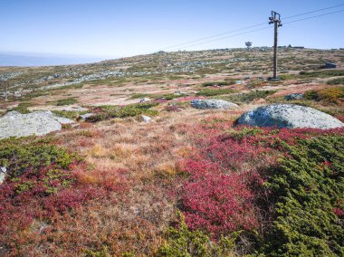 Bulgaristan 'ın Cherni Vrah zirvesi yakınlarındaki Vitosha Dağı' nın şaşırtıcı sonbahar manzarası
