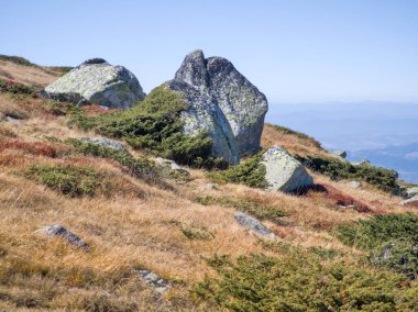 Bulgaristan 'ın Cherni Vrah zirvesi yakınlarındaki Vitosha Dağı' nın şaşırtıcı sonbahar manzarası