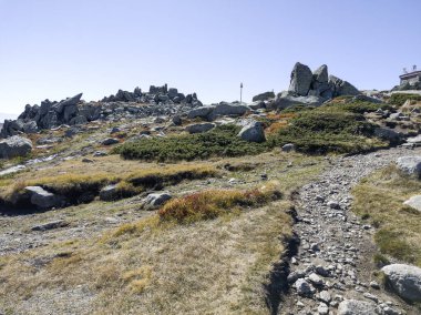 Bulgaristan 'ın Cherni Vrah zirvesi yakınlarındaki Vitosha Dağı' nın şaşırtıcı sonbahar manzarası