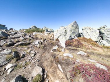Bulgaristan 'ın Cherni Vrah zirvesi yakınlarındaki Vitosha Dağı' nın şaşırtıcı sonbahar manzarası
