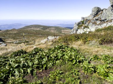 Bulgaristan 'ın Cherni Vrah zirvesi yakınlarındaki Vitosha Dağı' nın şaşırtıcı sonbahar manzarası