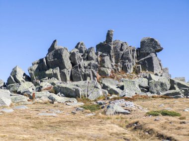Bulgaristan 'ın Cherni Vrah zirvesi yakınlarındaki Vitosha Dağı' nın şaşırtıcı sonbahar manzarası