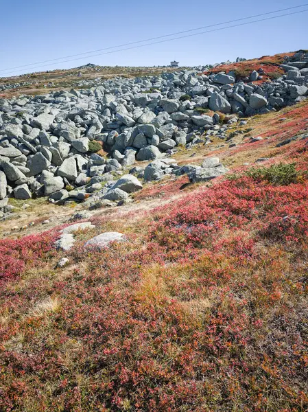 Bulgaristan 'ın Cherni Vrah zirvesi yakınlarındaki Vitosha Dağı' nın şaşırtıcı sonbahar manzarası