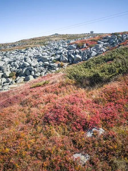 Bulgaristan 'ın Cherni Vrah zirvesi yakınlarındaki Vitosha Dağı' nın şaşırtıcı sonbahar manzarası