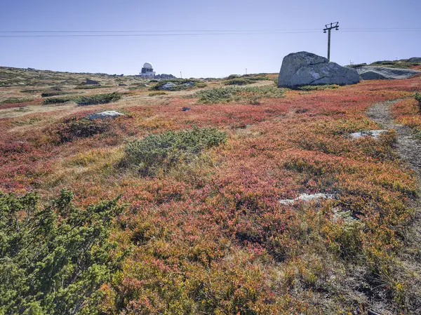 Bulgaristan 'ın Cherni Vrah zirvesi yakınlarındaki Vitosha Dağı' nın şaşırtıcı sonbahar manzarası