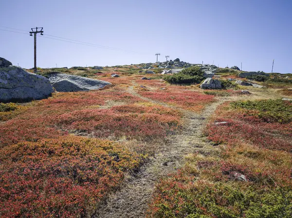 Bulgaristan 'ın Cherni Vrah zirvesi yakınlarındaki Vitosha Dağı' nın şaşırtıcı sonbahar manzarası