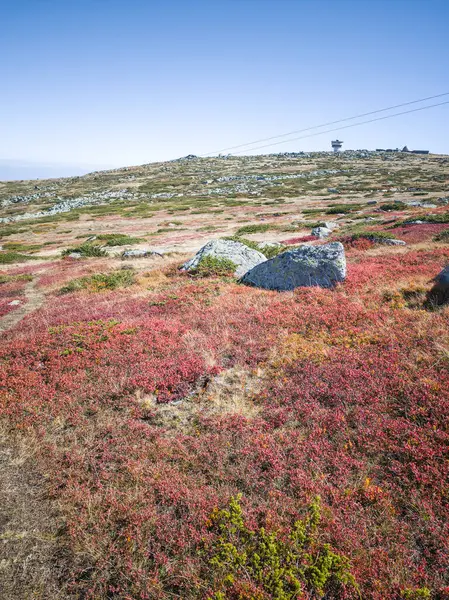 Bulgaristan 'ın Cherni Vrah zirvesi yakınlarındaki Vitosha Dağı' nın şaşırtıcı sonbahar manzarası