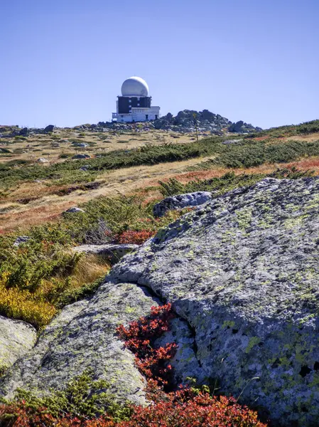 Bulgaristan 'ın Cherni Vrah zirvesi yakınlarındaki Vitosha Dağı' nın şaşırtıcı sonbahar manzarası