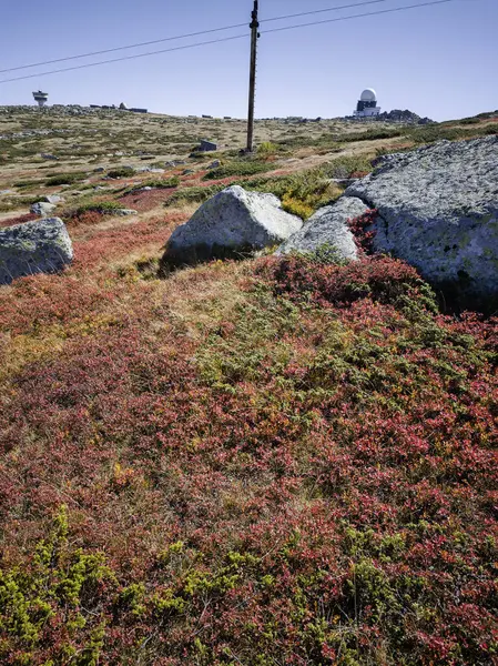 Bulgaristan 'ın Cherni Vrah zirvesi yakınlarındaki Vitosha Dağı' nın şaşırtıcı sonbahar manzarası