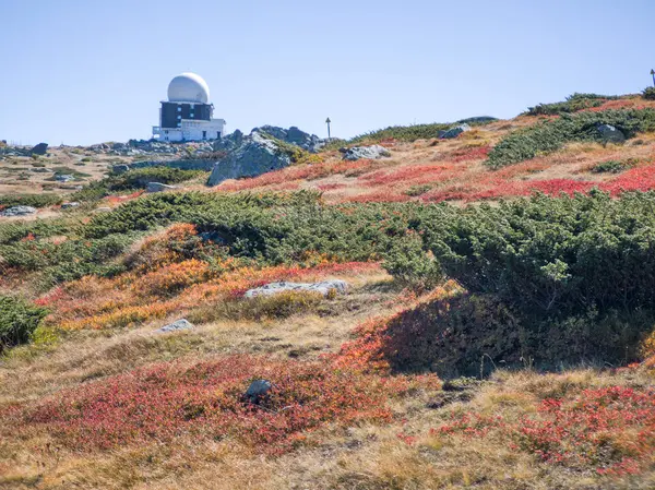 Bulgaristan 'ın Cherni Vrah zirvesi yakınlarındaki Vitosha Dağı' nın şaşırtıcı sonbahar manzarası