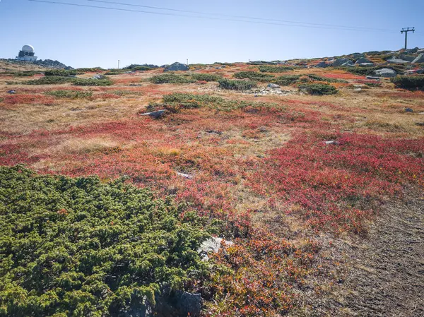 Bulgaristan 'ın Cherni Vrah zirvesi yakınlarındaki Vitosha Dağı' nın şaşırtıcı sonbahar manzarası