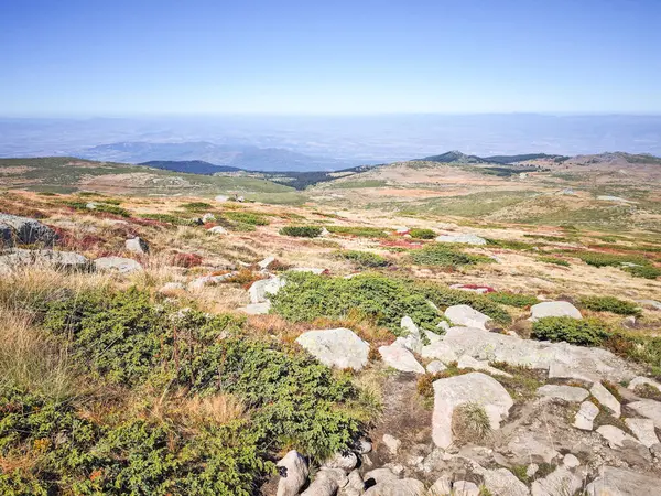 Bulgaristan 'ın Cherni Vrah zirvesi yakınlarındaki Vitosha Dağı' nın şaşırtıcı sonbahar manzarası