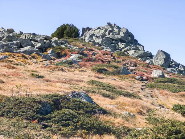 Bulgaristan 'ın Cherni Vrah zirvesi yakınlarındaki Vitosha Dağı' nın şaşırtıcı sonbahar manzarası