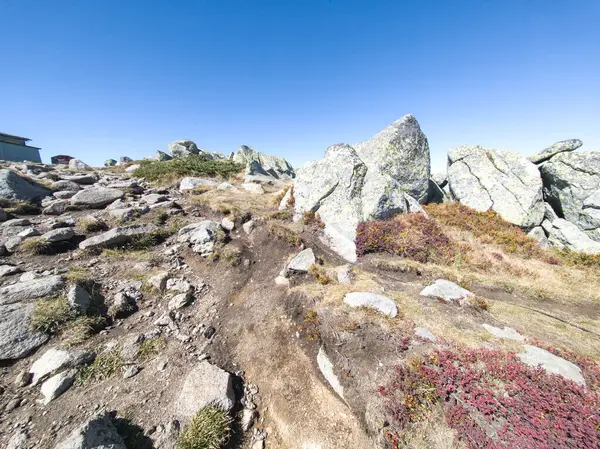 Bulgaristan 'ın Cherni Vrah zirvesi yakınlarındaki Vitosha Dağı' nın şaşırtıcı sonbahar manzarası