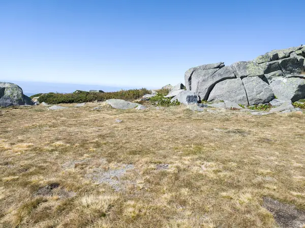 Bulgaristan 'ın Cherni Vrah zirvesi yakınlarındaki Vitosha Dağı' nın şaşırtıcı sonbahar manzarası