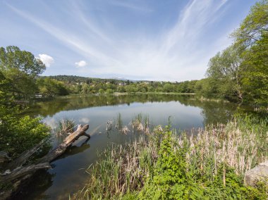 Pancharevo Gölü Bahar Manzarası, Sofya Şehir Bölgesi, Bulgaristan