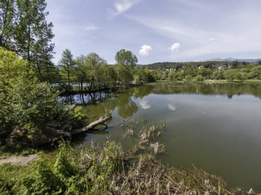 Pancharevo Gölü Bahar Manzarası, Sofya Şehir Bölgesi, Bulgaristan