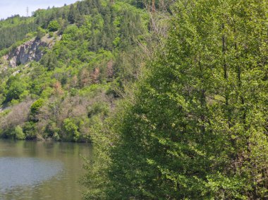 Pancharevo Gölü Bahar Manzarası, Sofya Şehir Bölgesi, Bulgaristan