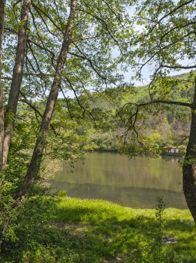 Pancharevo Gölü Bahar Manzarası, Sofya Şehir Bölgesi, Bulgaristan