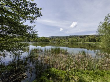 Pancharevo Gölü Bahar Manzarası, Sofya Şehir Bölgesi, Bulgaristan
