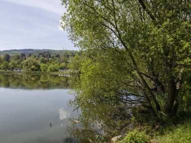 Pancharevo Gölü Bahar Manzarası, Sofya Şehir Bölgesi, Bulgaristan