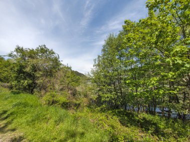 Pancharevo Gölü Bahar Manzarası, Sofya Şehir Bölgesi, Bulgaristan