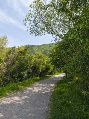 Pancharevo Gölü Bahar Manzarası, Sofya Şehir Bölgesi, Bulgaristan