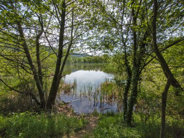 Pancharevo Gölü Bahar Manzarası, Sofya Şehir Bölgesi, Bulgaristan