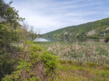 Pancharevo Gölü Bahar Manzarası, Sofya Şehir Bölgesi, Bulgaristan