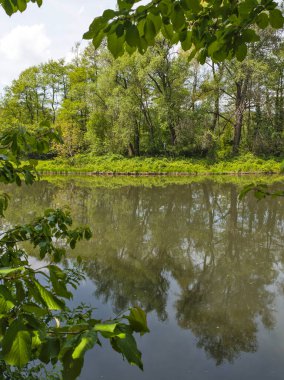 Pancharevo Gölü Bahar Manzarası, Sofya Şehir Bölgesi, Bulgaristan