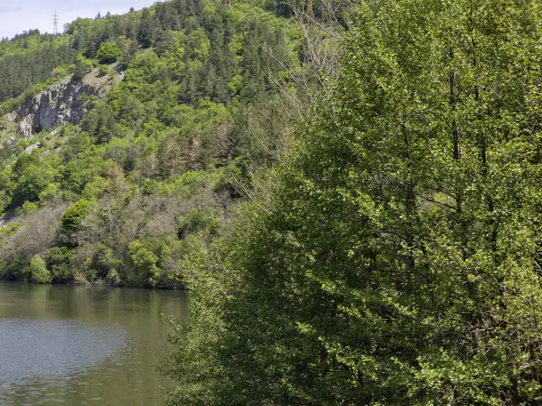 Pancharevo Gölü Bahar Manzarası, Sofya Şehir Bölgesi, Bulgaristan