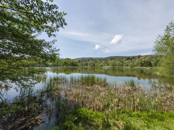 Pancharevo Gölü Bahar Manzarası, Sofya Şehir Bölgesi, Bulgaristan