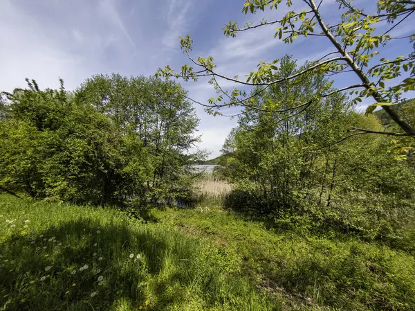 Pancharevo Gölü Bahar Manzarası, Sofya Şehir Bölgesi, Bulgaristan