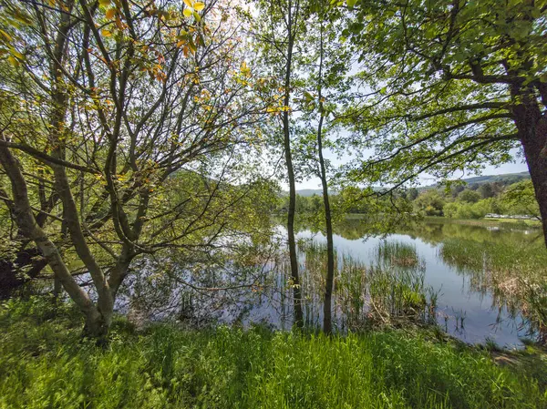 Pancharevo Gölü Bahar Manzarası, Sofya Şehir Bölgesi, Bulgaristan