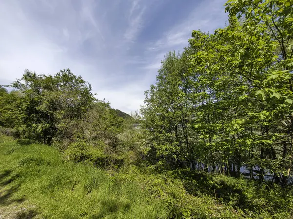 Pancharevo Gölü Bahar Manzarası, Sofya Şehir Bölgesi, Bulgaristan