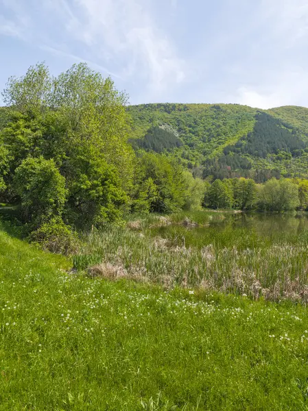 Pancharevo Gölü Bahar Manzarası, Sofya Şehir Bölgesi, Bulgaristan
