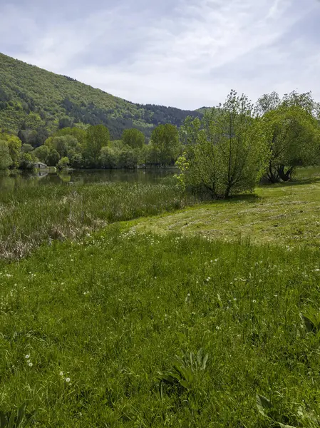 Pancharevo Gölü Bahar Manzarası, Sofya Şehir Bölgesi, Bulgaristan