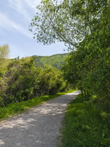 Pancharevo Gölü Bahar Manzarası, Sofya Şehir Bölgesi, Bulgaristan